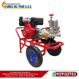 MOTOFUMIGADORA ESTACIONARIA DIESEL DE 10 HP CABEZAL BN90